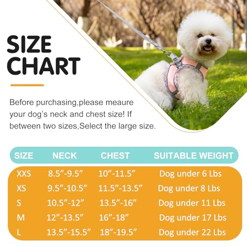 Dog Harness & Leash Set - No Pull Soft Breathable Small Dog Harness, Adjustable Reflective Step-in Vest for Puppy, Kitten, Cats - color: pink, size: s