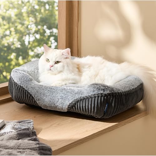 Bedsure Washable Dog Bed Small Dog＆Cat- Rectangle Fluffy Plush Kitten Puppy Bed, Comfy Corduroy Fleece and Nonskid Bottom,20x19x6inches,Suitable for Pet Up to 15lbs,Grey - color: Grey, size: 20"L x 19"W x 6"Th