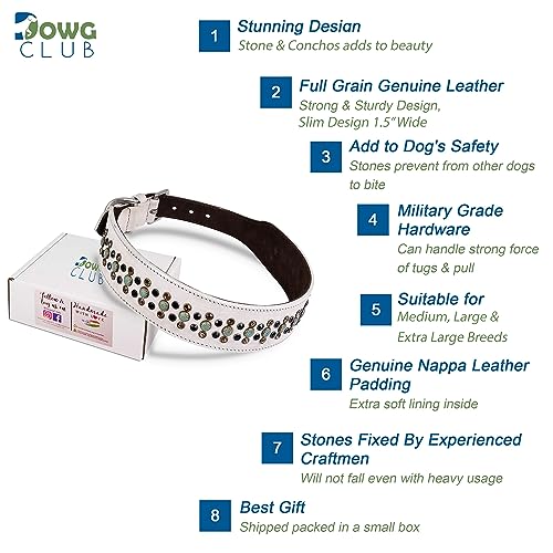 Genuine Leather ‘Cupola’ Series White Dog Collar | Rhinestone | Soft, Cushion Padding, Handmade | Best for Medium, Large, XL Breeds (M (Neck Size 14.5"-18.5"), White, Antique Copper Conchos) - color: White, Antique Copper Conchos, size: M (Neck Size 14.5"