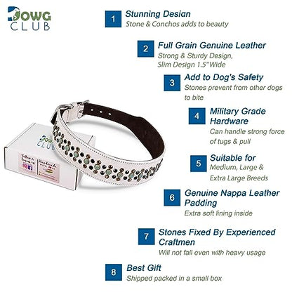 Genuine Leather ‘Cupola’ Series White Dog Collar | Rhinestone | Soft, Cushion Padding, Handmade | Best for Medium, Large, XL Breeds(XL (Neck Size 22.5"-25.5"), White, Antique Copper Conchos) - color: White, Antique Copper Conchos, size: XL (Neck Size 22.5