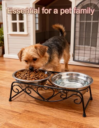 Small Dog Bowls with Metal Stand for Small Breeds Cats and Puppies 3.4 Inch Fixed Height Elevated Feeder with 2 Removable Stainless Steel Bowls