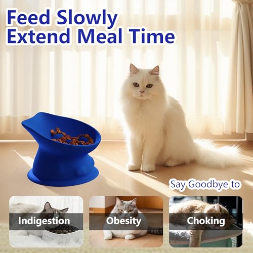 Slow Feed Cat Bowl, Elevated Cat Food Dish with Tilted Design, Dual-Use for Dry and Wet Food, Anti-Vomit, Anti-Choking, Easy to Clean - color: Blue, size: Big
