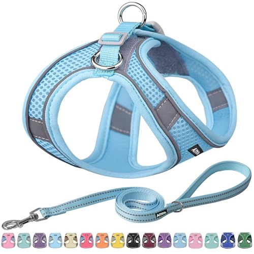 AIITLE Dog Harness, No-Pull Cat Harness with a Leash, Adjustable Reflective Dog Vest, Cat Harness Escape Proof, Outdoor Walking, Running,Training for Extra Small Dogs and House Cats Pure Blue XXXS - color: Pure Blue, size: XXXS(Chest: 8.5 - 10")