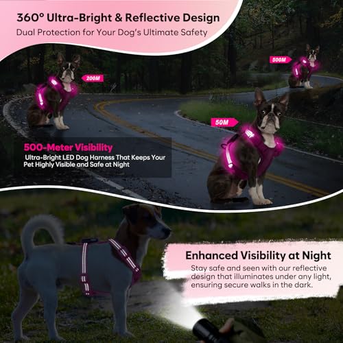Light Up Small Dog Harness, LED Rechargeable Harness for Small Sized Dog, No Pull Reflective Adjustable Dog Vest Harness with Soft Light, Glow-in-The-Dark for Night Safety Walking (Pink)