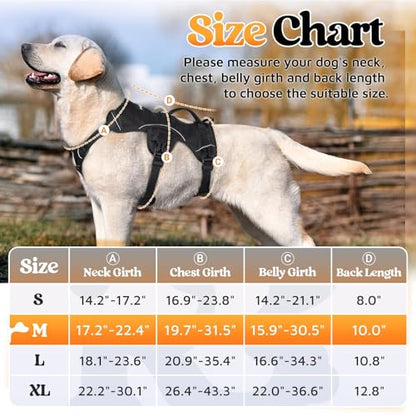 rabbitgoo Escape Proof Dog Harness, Soft Padded Full Body Pet Harness, Reflective Adjustable No Pull Vest with Lift Handle and Leash Clip for Large Dogs Walking Hiking Training, M, Black - color: Black, size: Medium (Pack of 1)