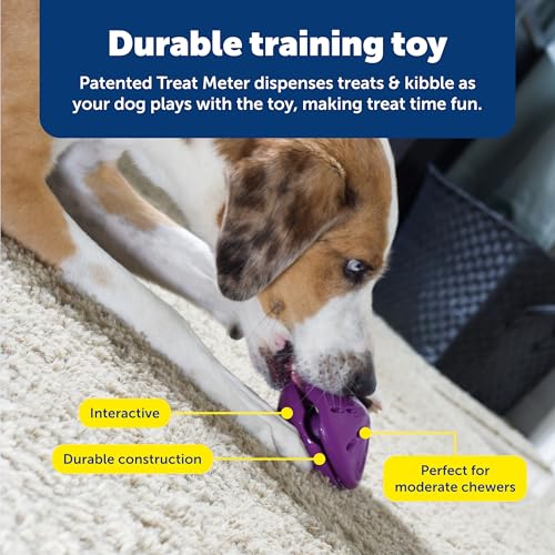 PetSafe Busy Buddy Twist 'n Treat Dispensing Dog Toy - Small - size: Small (Pack of 1)