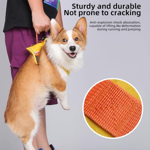 Dog Harness No Pull with GPS Tracker Pocket, 2 Adjustable Leash Clips, Breathable Soft Padded, Reflective, No Choke Pet Vest Harness with Control Handle for Large Dogs, Pineapple Yellow, L - size: L