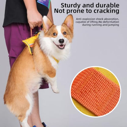 Dog Harness No Pull with GPS Tracker Pocket, 2 Adjustable Leash Clips, Breathable Soft Padded, Reflective, No Choke Pet Vest Harness with Control Handle for Large Dogs, Pineapple Yellow, L - size: L