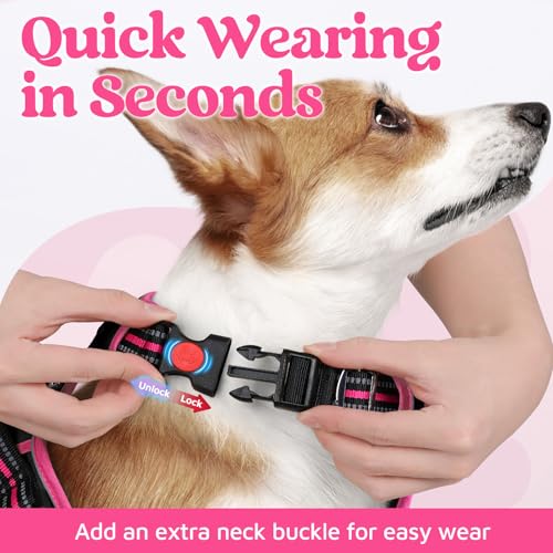 rabbitgoo Dog Harness Medium Sized, No Pull Dog Vest with 3 Buckles, Adjustable Soft Padded Pet Harness with Easy Control Handle and Reflective Strips, Black & Rose Pink, M - color: Black & Rose Pink, size: Medium