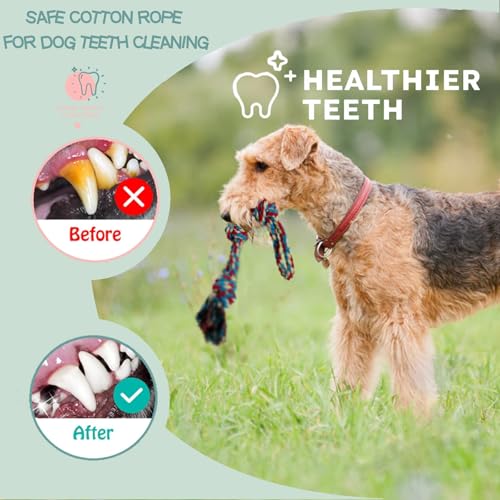 3-Pack Heavy Duty Dog Rope Toy, Tough Chew Toys, Durable Interactive Tug of War &Teeth Cleaning Ropes for Large and Medium Aggressive Chewers (3-Pack, Large) - size: Large