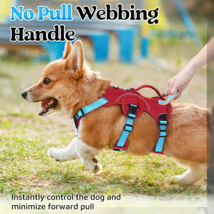 rabbitgoo Escape Proof Dog Harness Large Dogs, Soft Padded Full Body Pet Harness, Reflective Adjustable No Pull Vest with Lift Handle and Leash Clip for Walking Hiking Training, Blue & Red, S - color: Blue & Red, size: Small (Pack of 1)