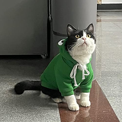 Dog Hoodie Basic Sweater Coat Cute - Frog Shape Warm Jacket Pet Cold Weather Clothes Outfit Outerwear for Cats Puppy Small Medium Dogs (XXL) - color: Green Frog, size: XX-Large