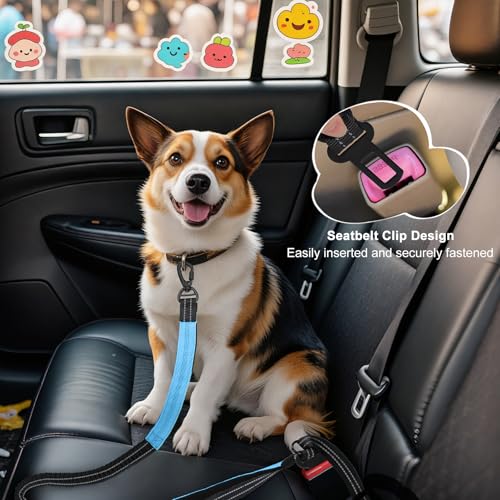 Hands Free Dog Leash, 8.2 FT Waist Leash for Walking, Jogging, Hiking, Adjustable Crossbody Belt with Double Padded Handles, Bungee Car Seatbelt Design for Medium Large Dogs, Black + Blue