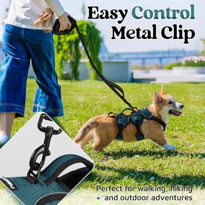rabbitgoo Escape Proof Dog Harness Small Sized Dog, Soft Padded Full Body Pet Harness, Reflective Adjustable Vest with Lift Handle and Leash Clip for Walking Hiking Training, Dark Green, S - color: Dark Green, size: Small (Pack of 1)