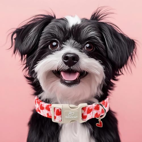 Valentines Dog Collar for Puppy Small Dogs - Cute Pink Girl Dog Collar, Doodle Heart Pattern, Adjustable Valentine Dog Collars with Red Heart Charm XS - color: Doodle Heart, size: XS