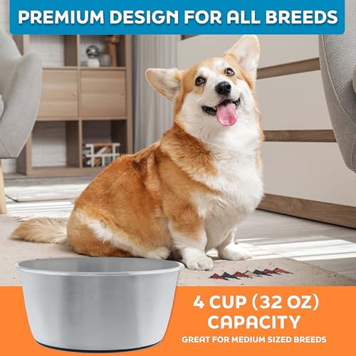 Master Pet Supply Stainless Steel Dog Bowls Set of 2 (32 Oz Each) with Non-Slip Rubber Base - Stainless Steel - Basic Dog Food Bowl Water & Food Bowls for Small Medium Large Dogs & Cats, Metal Dish - color: Stainless Steel, size: 4 Cups (32 oz) 2 Pack