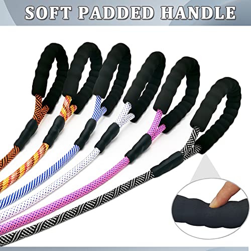 Heavy Duty Rope Dog Leash, 3/4/5/6/7/8/10/12/15 FT Nylon Pet Leash, Soft Padded Handle Thick Lead Leashes for Large Medium Dogs (Black, 1/2" * 10') - color: black, size: 1/2" * 10'