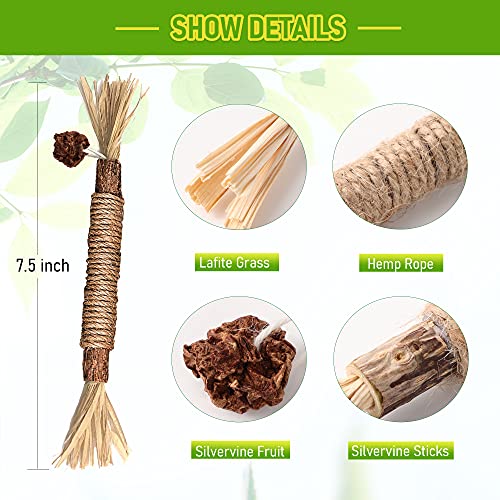 GBSYU 1 Pack Silvervine Cat Toy, Silvervines Sticks Cat Toys for Indoor Cats, Cat & Kitten Chew Toys for Aggressive Chewers, Cat Dental Toy for Kitten Teeth Cleaning, Matatabi Silvervine for Cats - size: 1PCS