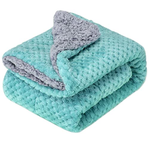 Fuzzy Blanket or Fluffy Blanket for Baby Girl or boy, Soft Warm Cozy Coral Fleece Toddler, Infant or Newborn Receiving Blanket for Crib, Stroller, Travel, Outdoor (24" x 32", DG-Blue Bell) - color: Dg-blue Bell, size: Blanket (24" x 32")