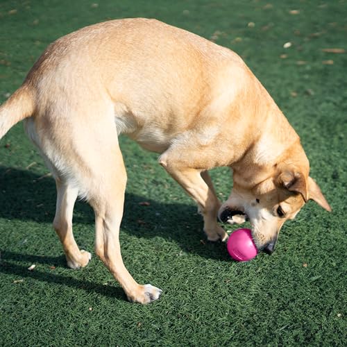 Outward Hound by Planet Dog Squeak Ball Bouncy Fetch Dog Toy, Pink - color: Pink Squeak Toy