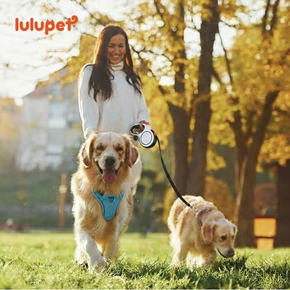 Blue Dog Harness Leash Collar Set, No Pull Reflective Dog Vest Harness with Control Handle, Adjustable Breathable Pet Harness for Small Medium Dogs Walking Training - color: Blue, size: S