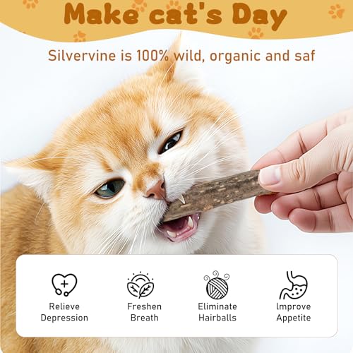 WoLover Silvervine Sticks for Cats, Natural Catnip Matatabi Chew Sticks Teeth Molar Chew Toys for Cat Kitten Kitty (at Least 12 PCS) - size: 12 Count