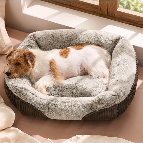 Bedsure Washable Dog Bed Small Medium Size Dog - Rectangle Fluffy Plush Pet Bed Puppy Bed, Comfy Corduroy Fleece and Nonskid Bottom,25x21x7inches,Suitable for Pet Up to 20lbs,Brown - color: Brown, size: 25"L x 21"W x 7"Th