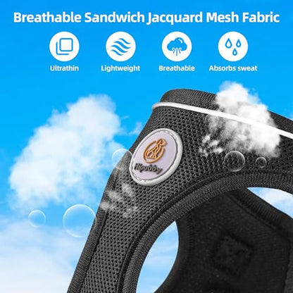 Dog Harness and Leash Set, No Pull Soft Mesh Puppy Harness for Small Medium Dogs, Cats - Step in Adjustable Reflective Pet Harness with Buckle and Double D-Rings - Black, XS - color: Black, size: XS (Chest: 12.5"-14")
