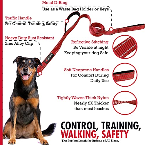 Tuff Pupper Heavy Duty Double Handle Leash - Twist Lock Carabiner Clip for Strong Medium & Large Dogs - Reflective, 6FT - color: March Red