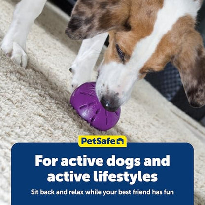 PetSafe Busy Buddy Twist 'n Treat Dispensing Dog Toy - Small - size: Small (Pack of 1)