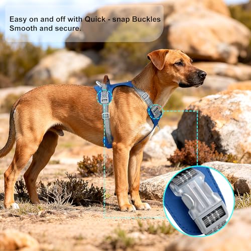 No Pull Dog Harness – Adjustable Reflective Nylon Vest for Small Medium Large Dogs, Escape Proof Training Harness with Leather Control Handle, Lightweight Aluminum Hardware (Royal Blue, XL) - color: Royal Blue, size: XL