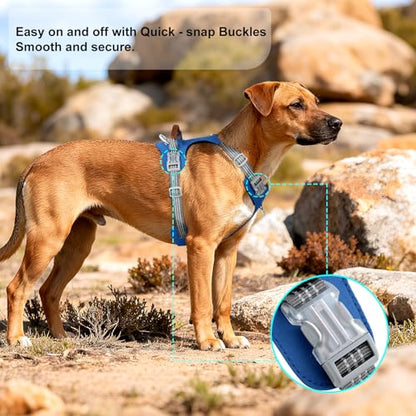 No Pull Dog Harness – Adjustable Reflective Nylon Vest for Small Medium Large Dogs, Escape Proof Training Harness with Leather Control Handle, Lightweight Aluminum Hardware (Royal Blue, L) - color: Royal Blue, size: L