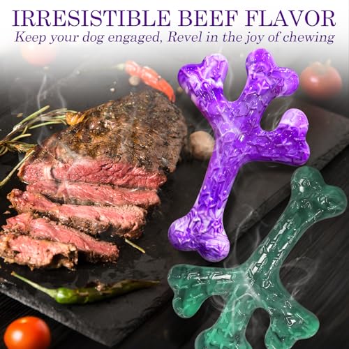 Frienhund 4 Pack (XL Cactus) Indestructible Tough Dog Toys for Aggressive Chewers: Beef Flavored Chew Bone for Large Dogs 20-90 lbs, Long Lasting & Keep Them Busy