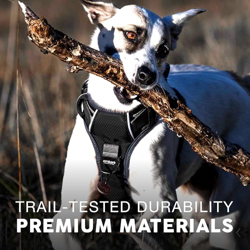 Embark Adventure Small Dog Harness – No-Pull, Reflective Trim, Military-Grade Nylon, Front Clip with Gel-Lined Handle, Soft & Padded - color: Black, size: S