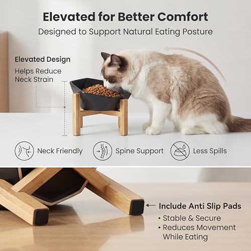 Raised Cat Bowl - Ceramic Tilted Elevated Food Bowl for Indoor Cats & Small Dogs - Shallow Wide Whisker-Friendly Design - Pet Dish Suitable for Feeding Dry, Wet, Treats & Canned Food - Black - color: Black with stand