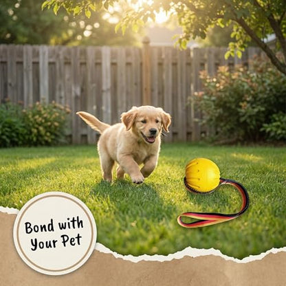 Durable Rubber Dog Ball with Strap - Interactive Fetch/Tug Toy for Aggressive Chewers, Floating Dog Toy for Medium/Large Dogs (Small) - size: Small
