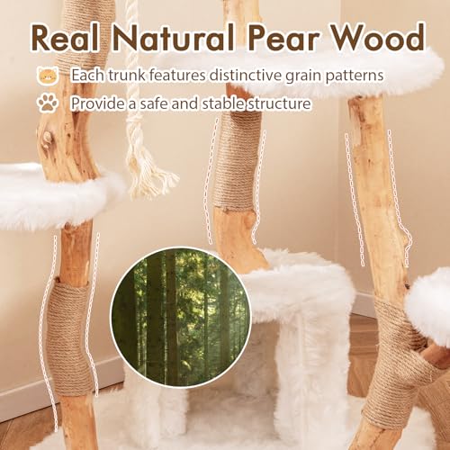 Tangkula Solid Wood Cat Tree, Modern Wooden Cat Tower with Jute Scratching Posts, Perch, Condo, Sisal Rope, Dangling Ball, Soft Long Plush, 66 Inch Tall Cat Tree Tower for Indoor Cats Large Adult - style: Round Condo
