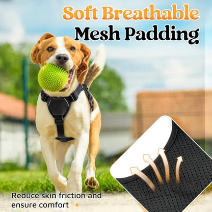 rabbitgoo Escape Proof Dog Harness, Soft Padded Full Body Pet Harness, Reflective Adjustable No Pull Vest with Lift Handle and Leash Clip for Large Dogs Walking Hiking Training, S, Black - color: Black, size: Small (Pack of 1)