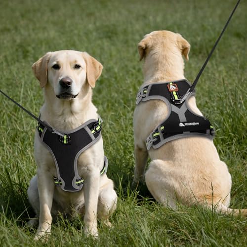 Dog Harness, No Pull Pet Vest Reflective Strip Escape Proof, Easy to Adjust Dog Harness with Escape Proof Function Suitable for Walking, Traveling and Training, Black, XL - size: XL