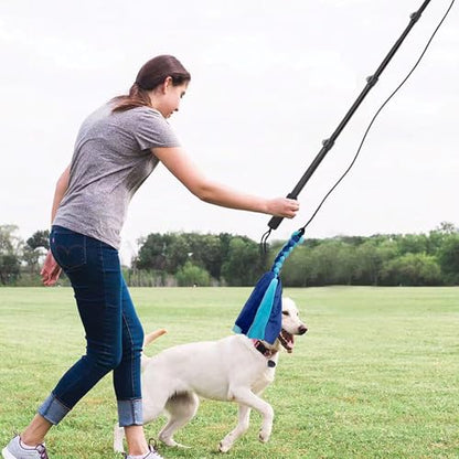 Flirt Pole for Dogs, Interactive Toys Tug-of-war for Dogs, Four-Section Retractable Adjustable Length, Chase Toys with Rope Chewing Sticks, for Outdoor Exercise & Training - size: 50Inch Pole-Black