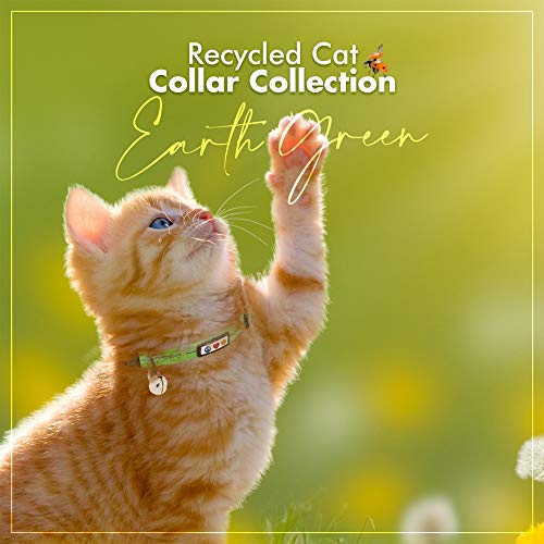 Pawtitas Recycled Green Reflective Cat Collar – Eco-Friendly Breakaway Safety Buckle, Adjustable Kitten & Adult Collar with Removable Bell and High-Visibility Strap - color: Recycled Green