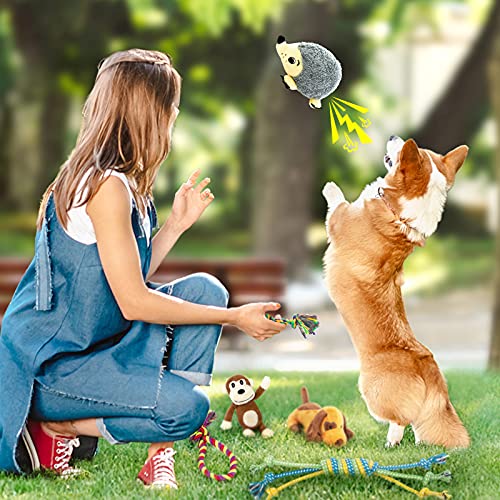 LEGEND SANDY Puppy Toys, Squeaky Dog Toys for Small Dogs, 12 Pack Puppy Chew Toys for Teething, Dog Rope Toy and Cute Stuffed Animals Value Bundle - color: 12 PACK PUPPY TOYS