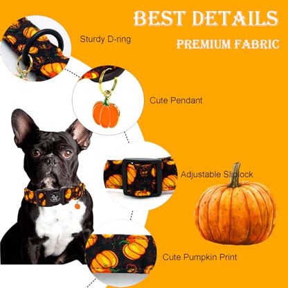 Elegant little tail Halloween Dog Collar, Pumpkin with Maple Leaf Print Fall Pet Collars Cotton Soft Sturdy Puppy Collars Holiday Female Adjustable Collar for X-Small Puppy - color: Fall-Black Pumpkin, size: X-Small (Pack of 1)