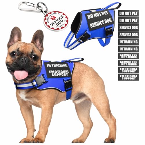 Service Dog Vest Harness+ID Tag+10 Patches,Metal Serivce Dog Tag&Reflective Emotional Support Dog Vest with Handle for Small Dogs,Easy Put On/Off for Training/Walking/Everyday Blue S - color: Blue, size: S