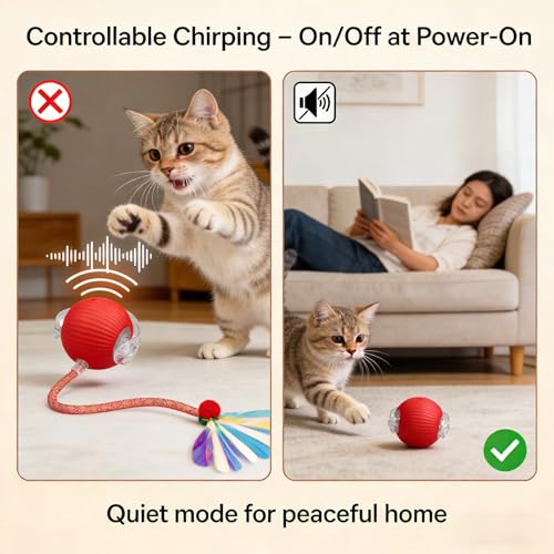 Speedy Tail 2.0 Cat Toy – 2 Replaceable Tails, Controllable Chirping, Motion Activated Rolling Ball, USB Rechargeable – Enrichment & Exercise for Bored Indoor Cats, Kittens (Red) - color: A-Red
