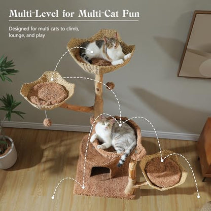 MUTTROS 59" Cat Tree Tower with Real Solid Wood Natural Branch, Modern Cat Tree for Large Cats w/3 Handwoven Wicker Baskets- Luxury Boho Cat Furniture w/Condo & Soft Hammock, Scratching Post, Brown - color: Brown, size: 59" Solid Wood Cat Tree