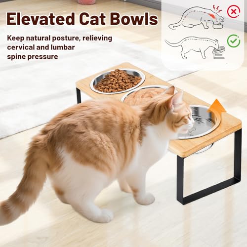 Elevated Cat Bowl, Raised Cat Food Bowls with 10° Tilted Stands, 3 Stainless Steel Bowls for Wet, Dry & Water, Hold by Bamboo Board, Anti Vomiting Cat Feeding Bowls with 4 Non-Slip Pads