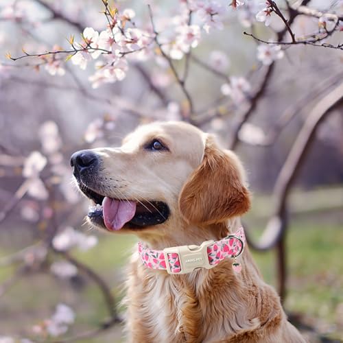 ARING PET Strawberry Dog Collar, Cute Spring Summer Pink Puppy Pet Collars for Small Medium Large Female Girl Dogs-XS - color: Strawberry Pink, size: X-Small