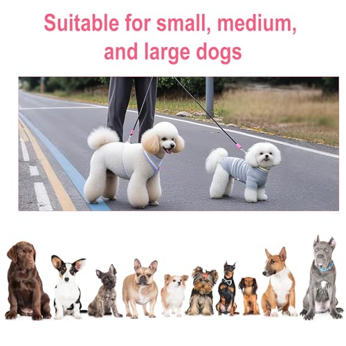 Double Dog Leash for Two Dogs,Dual Hands Free Dog Leashes,360 Swivel No Tangle Walking Leash,Soft Padded Handle,Adjustable Crossbody Waist Rope for Small Medium Large Dogs,Black - color: Black