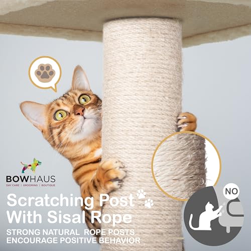BOWHAUS 64” Wooden Cat Tree Tower for Indoor Large Cats & Kittens, Modern Tall Cat Climbing Tree w/Cave Condo, Scratching Posts, Hammock, Multi-Level Cat Tower w/Interactive Toy & Detachable Cushion